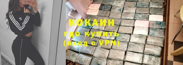 прущие грибы Наволоки