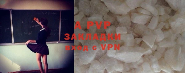 прущие грибы Наволоки