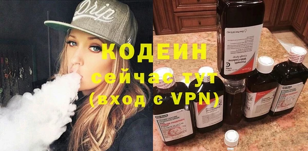 прущие грибы Наволоки