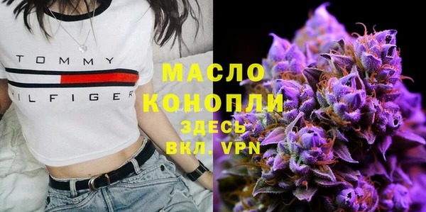 прущие грибы Наволоки