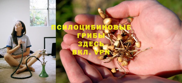 2c-b Надым