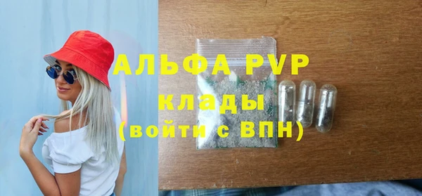 прущие грибы Наволоки